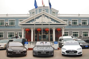 中進汽車租賃穩(wěn)步推進新能源汽車租賃業(yè)務